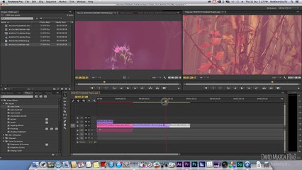 Adobe Premiere Pro 7.1 CC  Update with CDNG Support