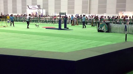 チョッパー: エクストリーム総合ミニ決勝 at 幕張メッセ