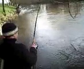 salmon-łosoś