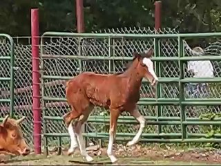 Her favorite color is chrome!