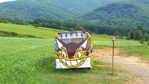 戸外炉峠（トトロ峠）の猫バス/4K Ultra HD/My Neighbor Totoro