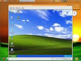 VirtualBox (WinXP) in Ubuntu Linux