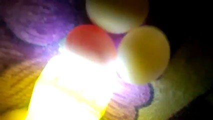 Yeni üyeler için boş dolu yumurta kontrolü