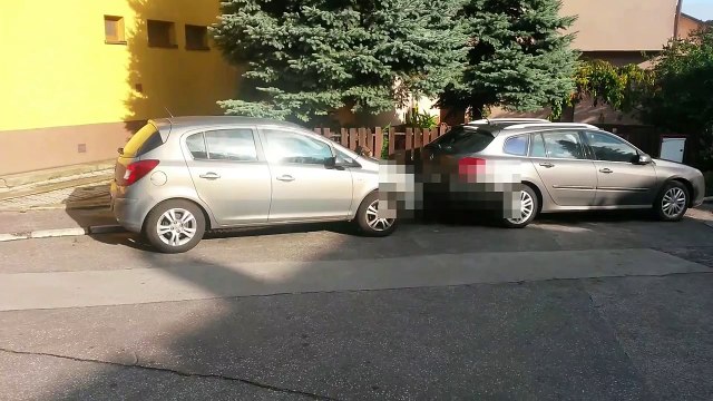 This bengal cat gets on my nerves. I like cats but this cat is too much...