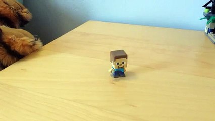 Minecraft stop motion animation