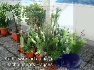 My crazy speaking cat on top of our house (Katze Kathi am Dachgarten)