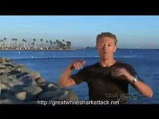 Great White Shark Attack on The Elephant Seal