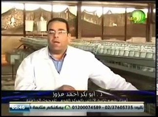 تربية الارانب بالتفصيل حلقة رقم (4): انواع الارانب و كيف الكشف الطبي عليها و قبل الشراء 2015
