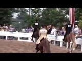 Saddlebred For Sale Park 3-Gaited or Equitation -Sold