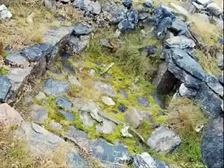 Are there creatures like the "Nephilim" ?