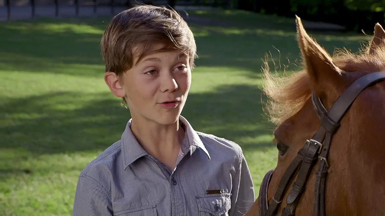 Journée du cheval 2015