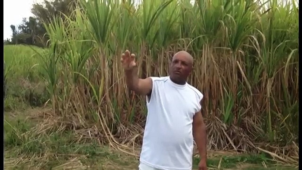Cérémonies, Rituels et Sacrifices - ile de la Reunion