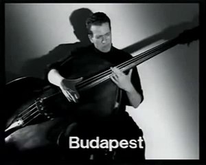 double bass like guitar - german jazz player