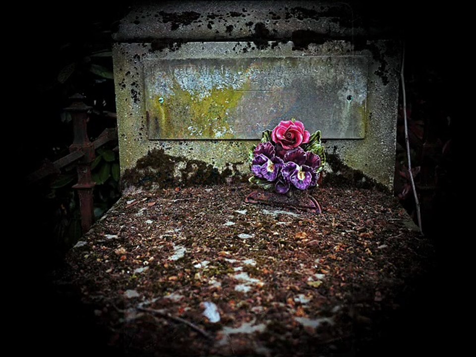 Bruno Thiévet : photo ¤ janv 2013- janv 2015