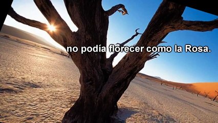 La aceptación de uno mismo es el primer paso para alcanzar el éxito