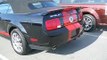 2008 Shelby GT500 Start Up, Exhaust, and Full Tour