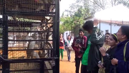 Dr. Prakash  Baba Amte's Animal Arc.