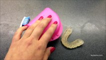 Trucos para limpiar la férula o aparato de dientes | facilisimo.com
