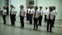 SKINNY GENES - line dance - NEW SPIRIT Of Country Dance
