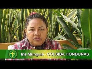 Actividades del Foro Mundial Bananero