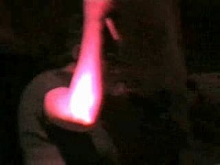 le club des chats-1929-rennes