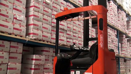 Incanto Fashion group, Real Kniting производство колготок в Сербии