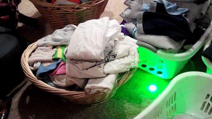 Cat and Dog Chase Laser Light