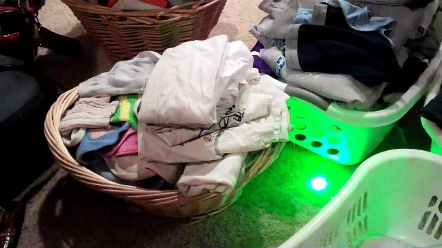 Cat and Dog Chase Laser Light
