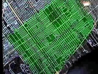 Detroit street gangs of the 1970's