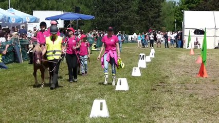 Die VFD Bayern auf der Pferd International 2012 in München