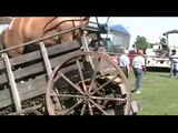 Horse-Powered Treadmill