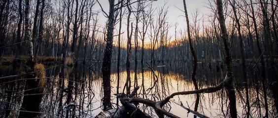 MIUOSH x JIMEK x NOSPR - Nie mamy skrzydeł