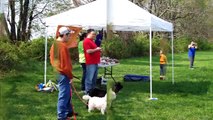 Crazy Dog Barkery and Lead the Way Training Canine Egg Hunt