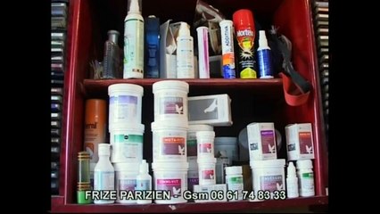 MAHIR ELEVAGE FRIZE' PARISIEN , GSM 0661748333 SALE' MAROC