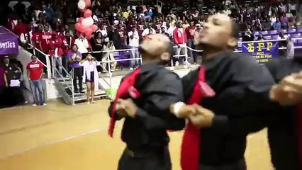 animal nupes probate spring 2k11