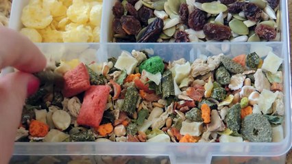 All of My Hamster Treats!