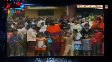 Angry elephant claimed 18 LIves in India