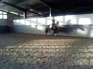 Montana Trab und Galopp (19.4.2011)