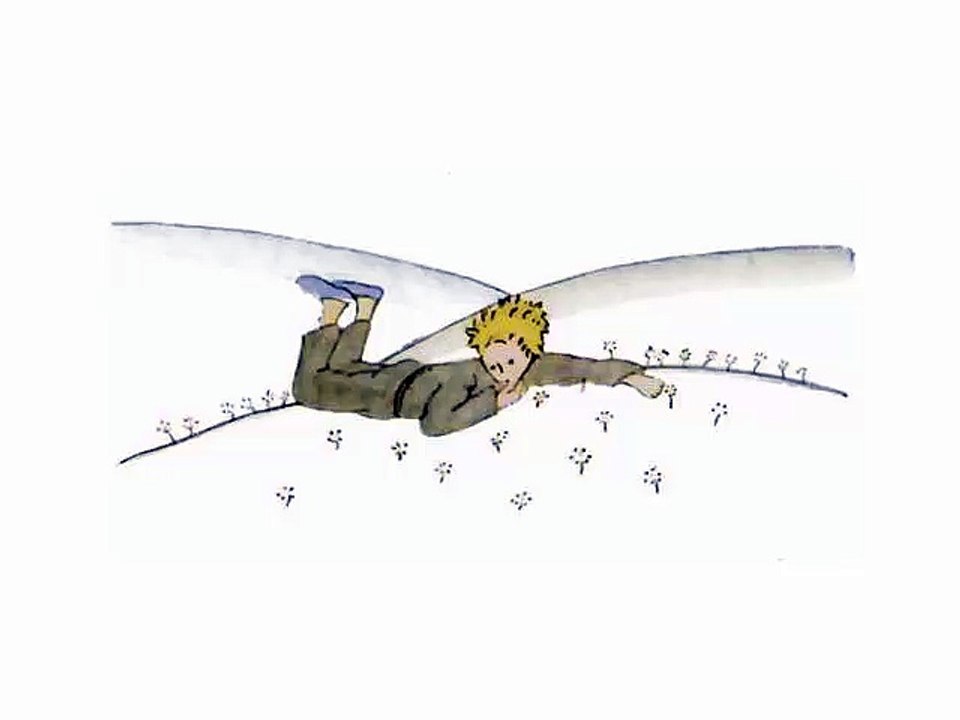 Le Petit Prince - Chapitre XXII