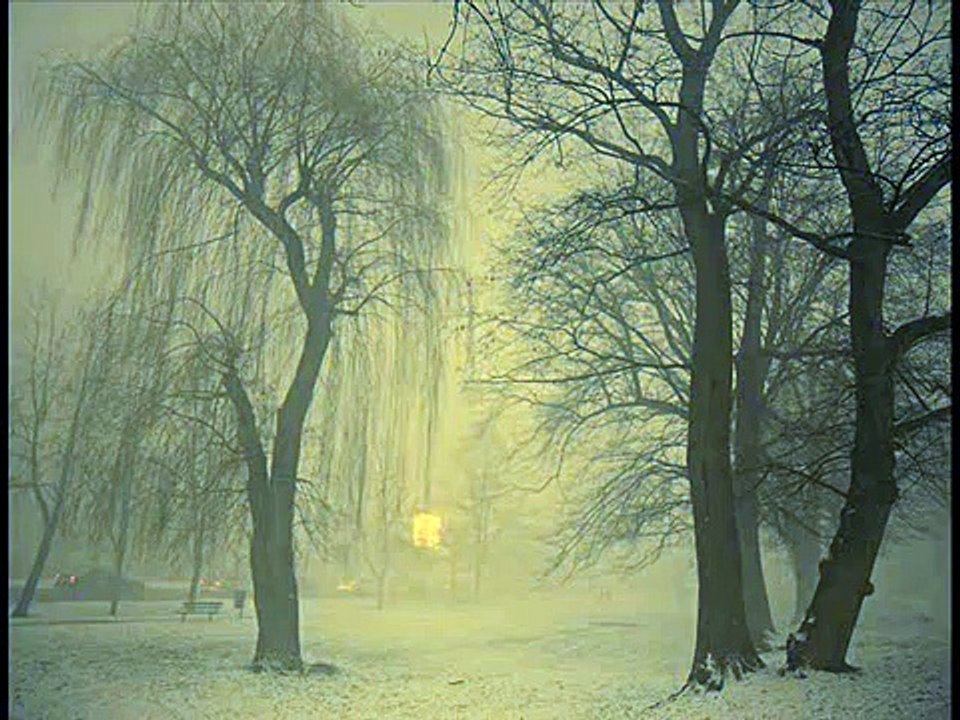 Sokolov - Bach Prelude&Fugue BWV.849 (WTC I).wmv