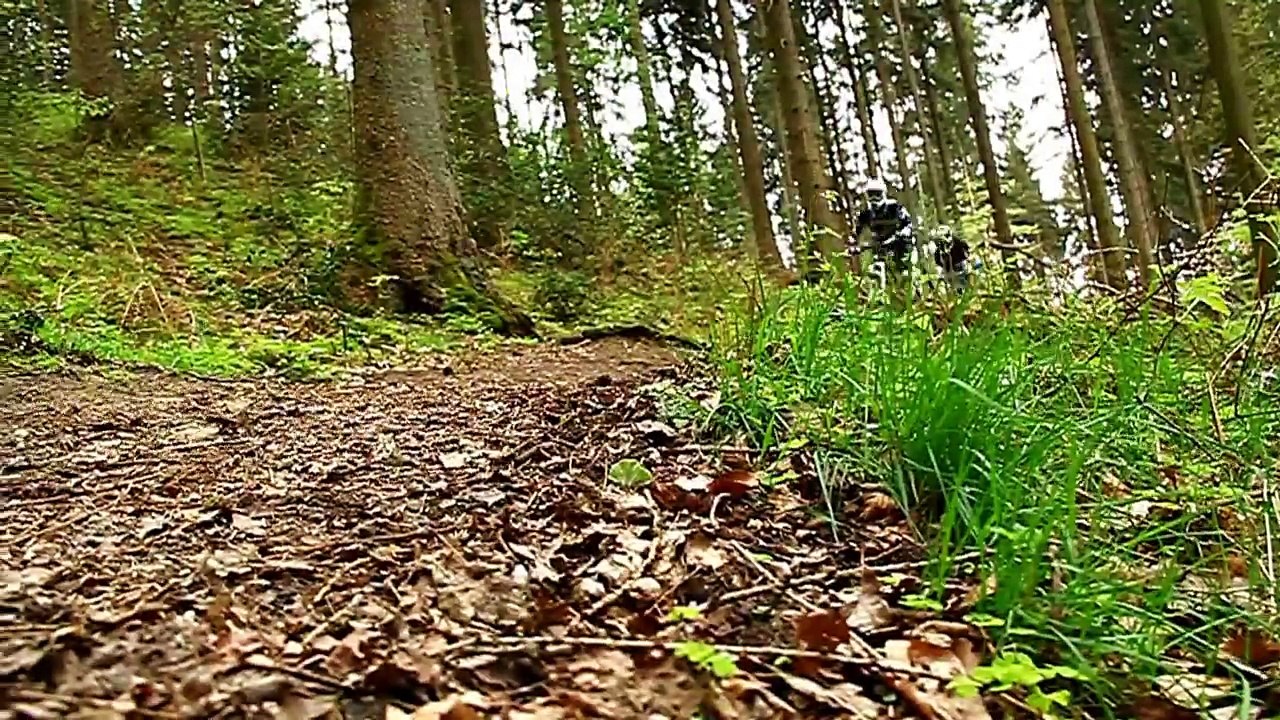 Mountainbike Downhill/Freeride: "Trails"