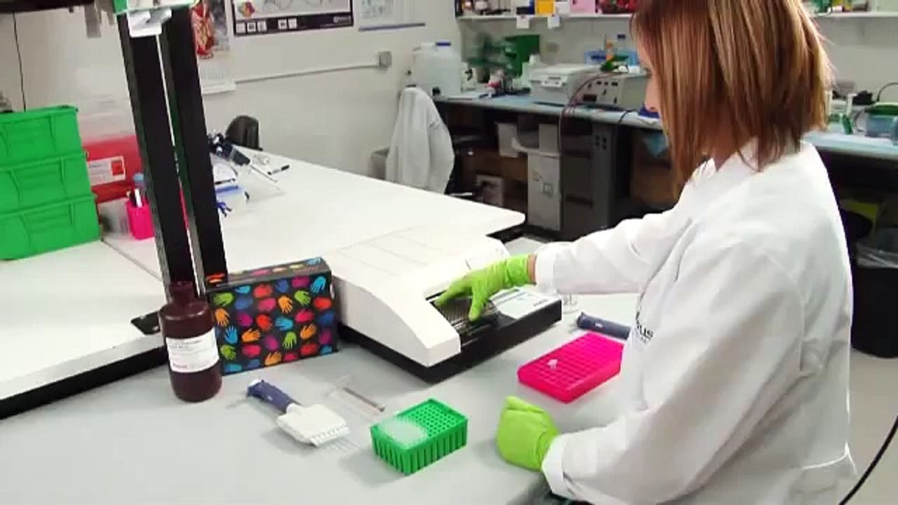 Western Blot (WB) Visual Protocol
