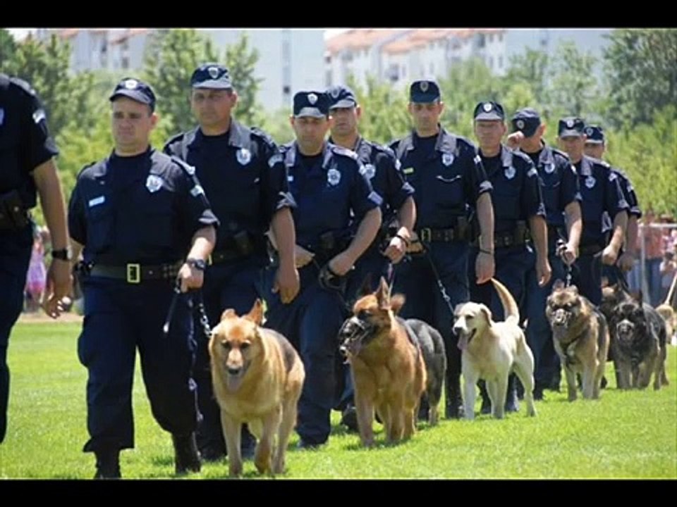 СРПСКА ПОЛИЦИЈА   /  SRPSKA POLICIJA  / SERBIAN POLICE
