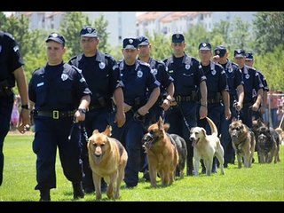 СРПСКА ПОЛИЦИЈА   /  SRPSKA POLICIJA  / SERBIAN POLICE