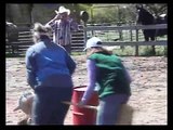 Family Dude Ranch Vacation Riding Horses in Colorado