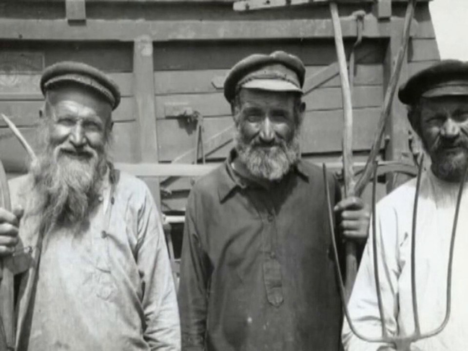 Как правильно закопать после расстрела (Меняйлов)