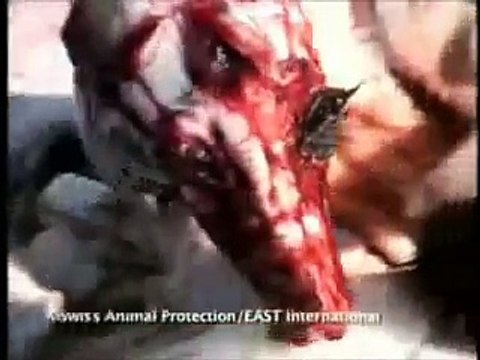 Tak wygląda życie psów w Chinach 2 :-(