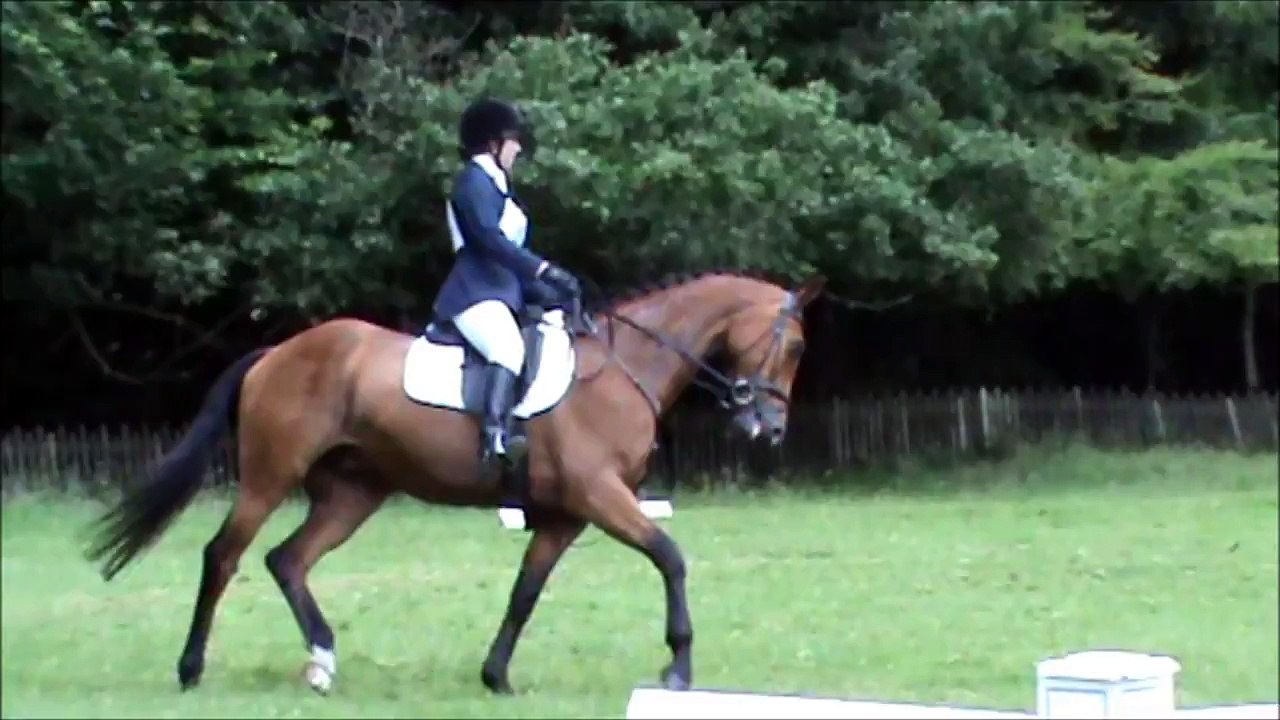 Lanhydrock ode (Area Qualifiers)