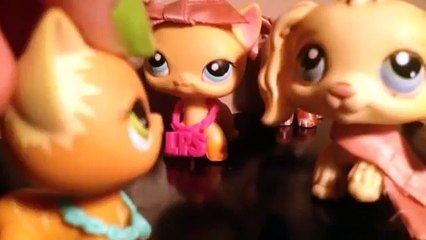 LPS: Mean Girls Music Video