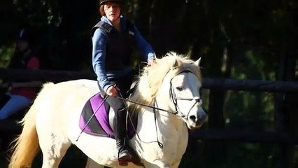 [Tag n°4] Les tapis et toi